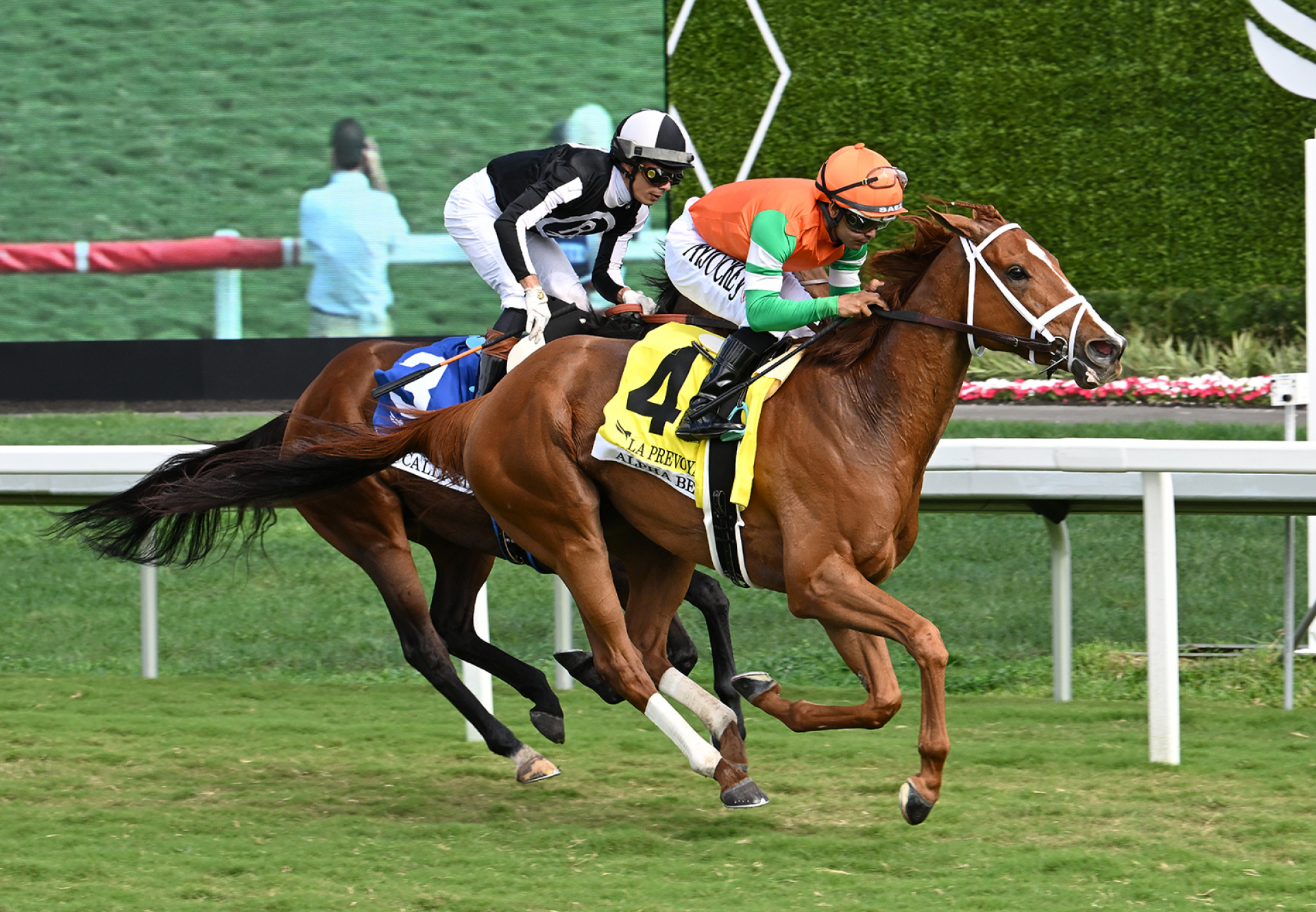 There’s The Door (Starspangledbanner) winning at Haydock