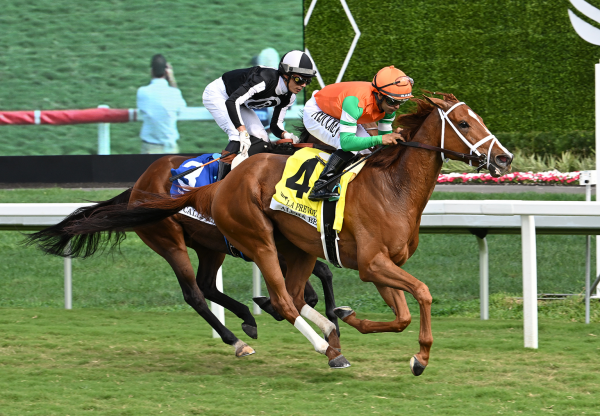 Order Of Australia (Australia) Wins His Second Group 2 Minstrel Stakes at the Curragh