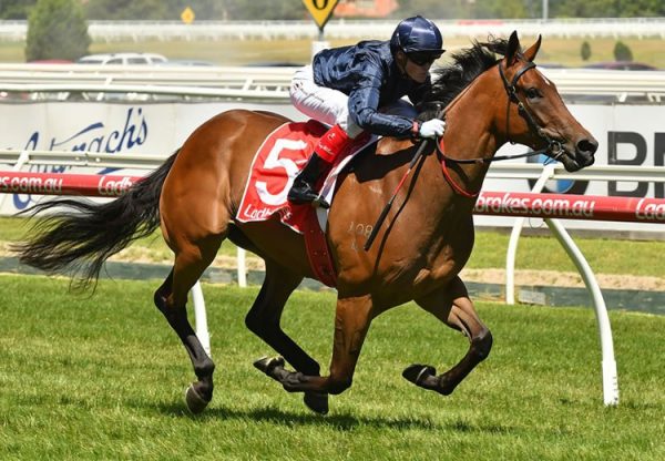 Montesilvano (Holy Roman Emperor) Wins His Maiden At Leopardstown