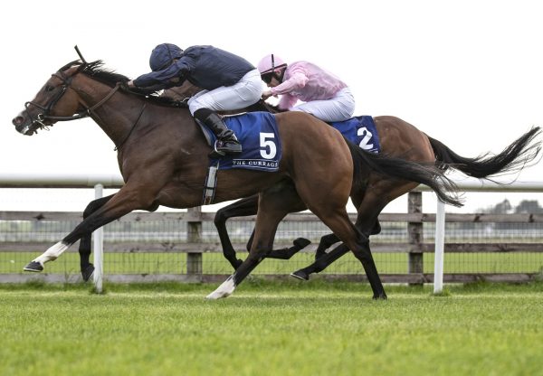 Bioluminescence (Walk In The Park) Wins Grade 3 Mares Novice Hurdle At Limerick