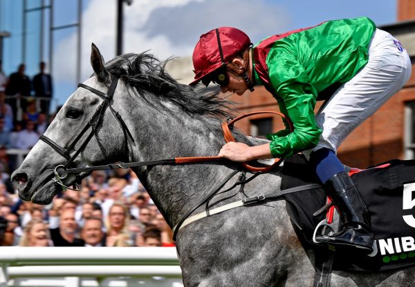 Technician (Mastercraftsman) winning the Gr.3 Geoffrey Freer Stakes at Newbury