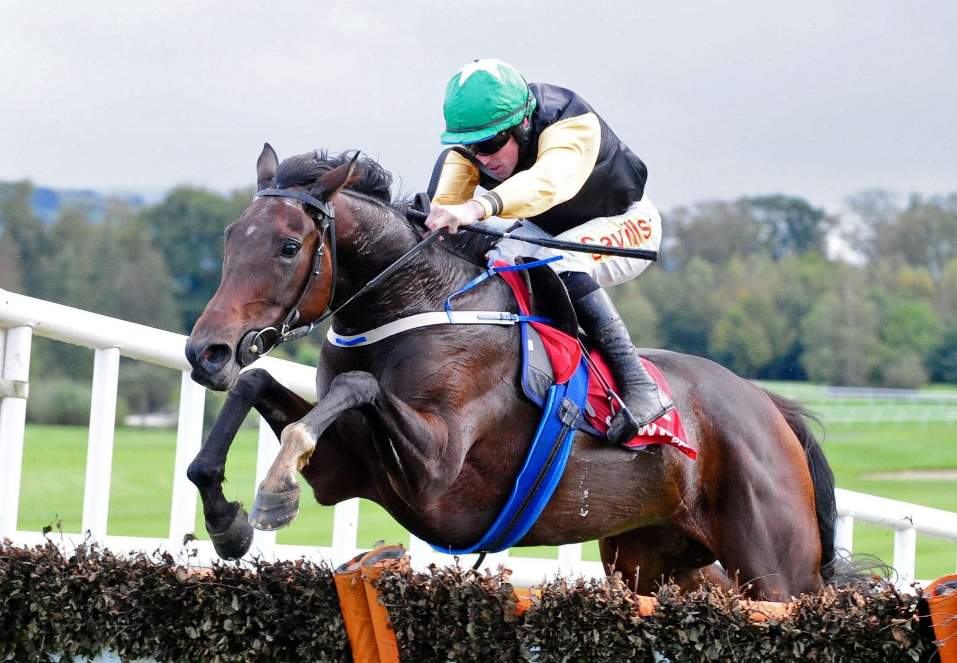 Agamemmon (Getaway) winning a point-to-point at Milbourne St Andrew