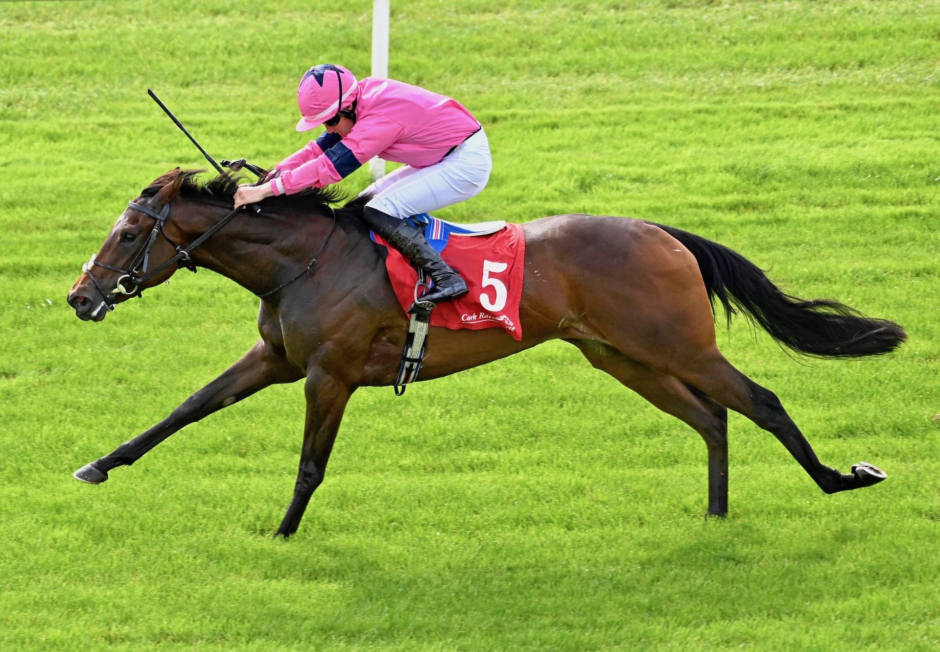 Bonbon (Footstepsinthesand) winning her maiden at Cork