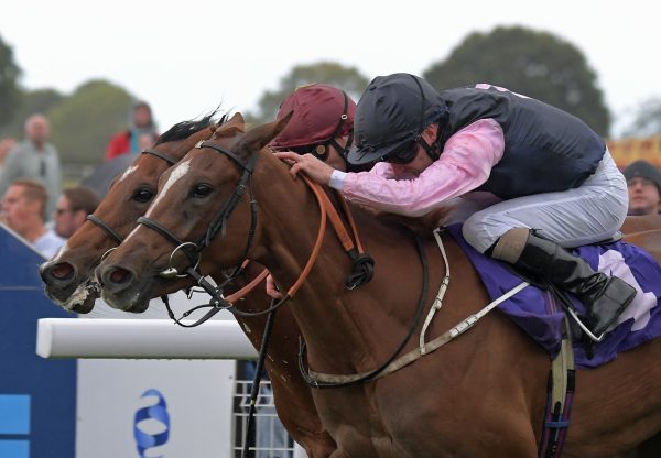 Freyja Becomes The Latest Winner By Gleneagles