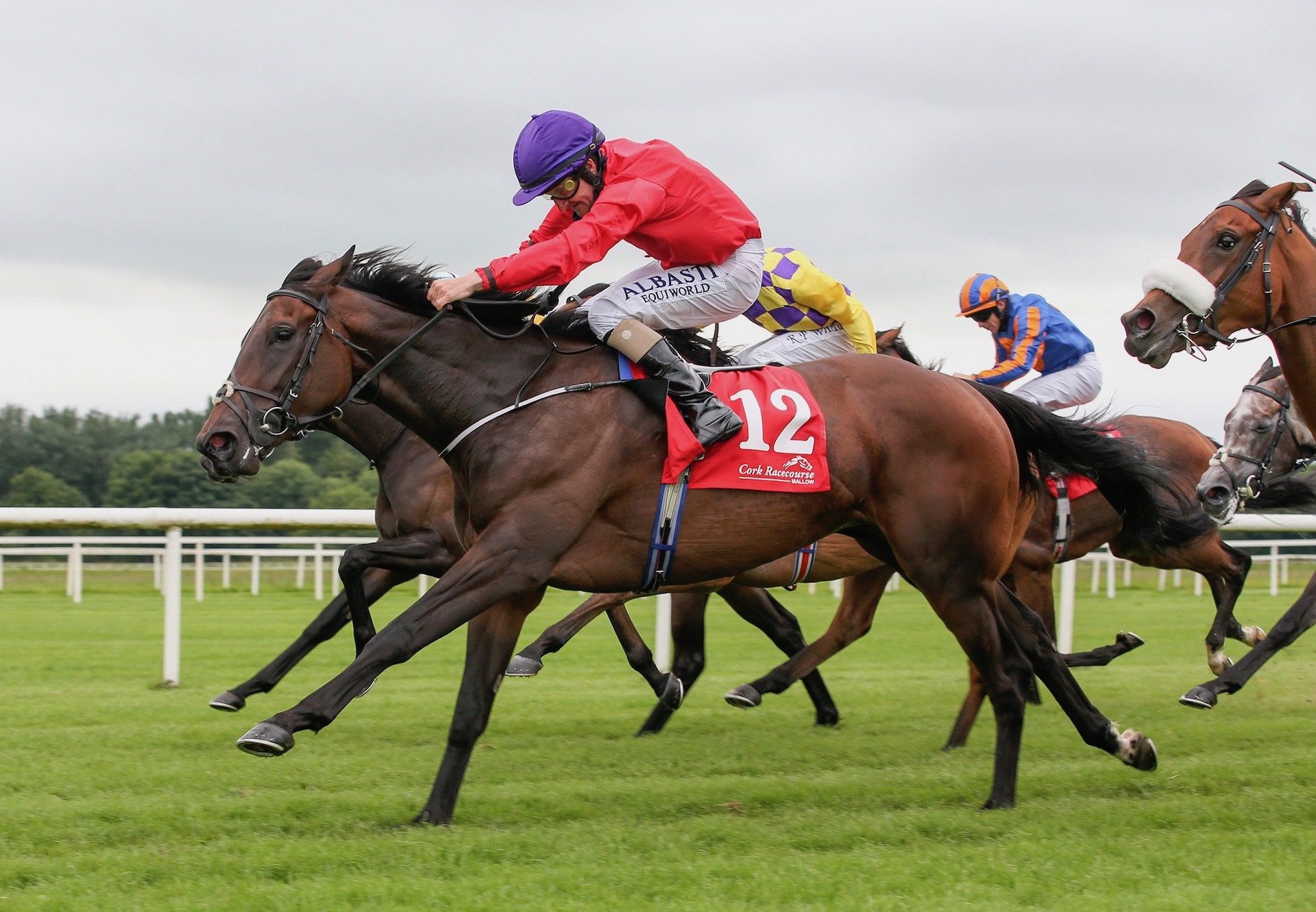 Valeria Messalina (Holy Roman Emperor) Wins The Brownstown Stakes at Cork