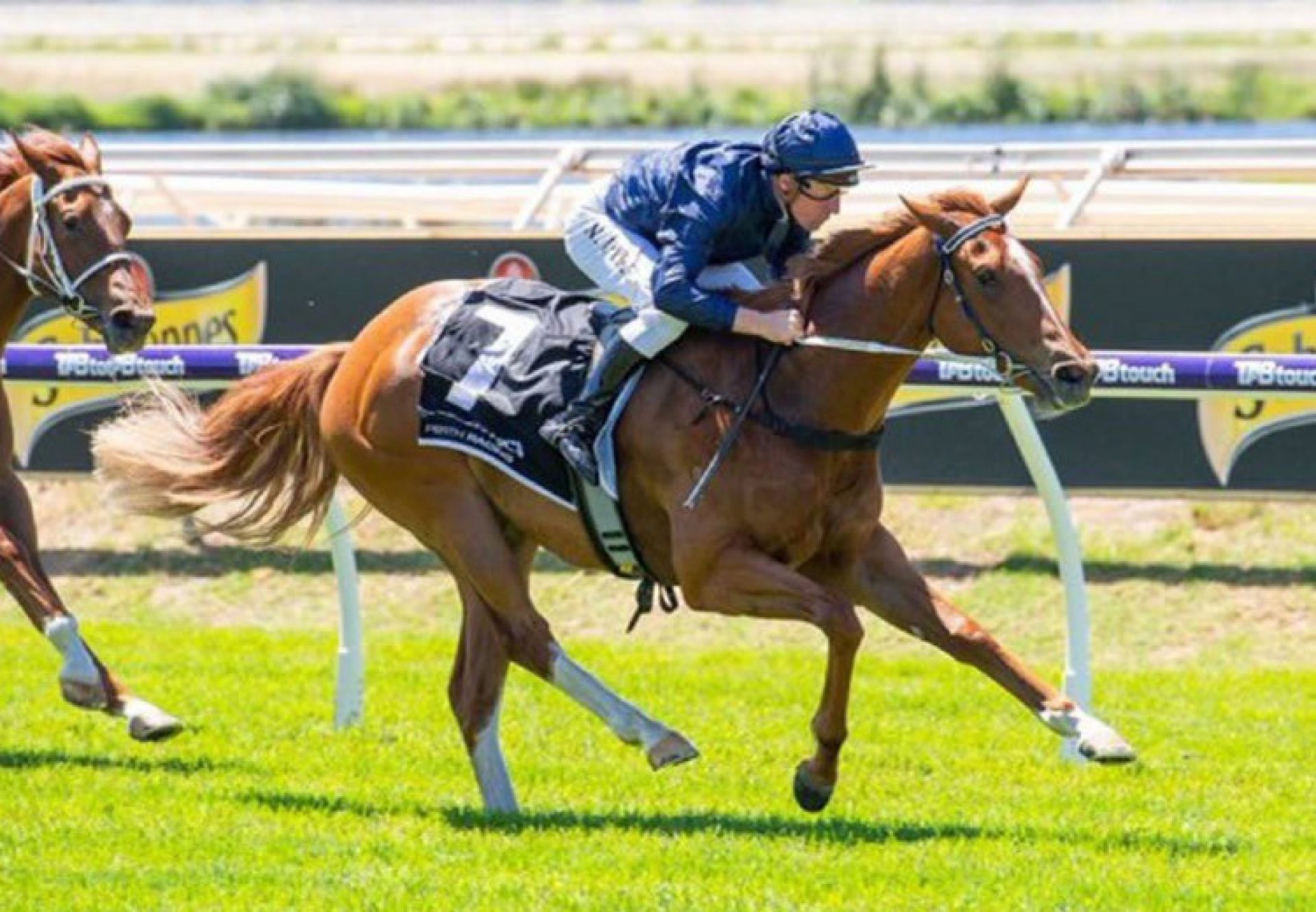 Golden Vale (Churchill) wins at Ascot