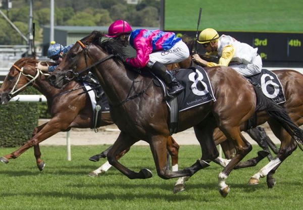 Man From Uncle (Uncle Mo) winning the G3 ATC Eskimo Prince Stakes at Randwick