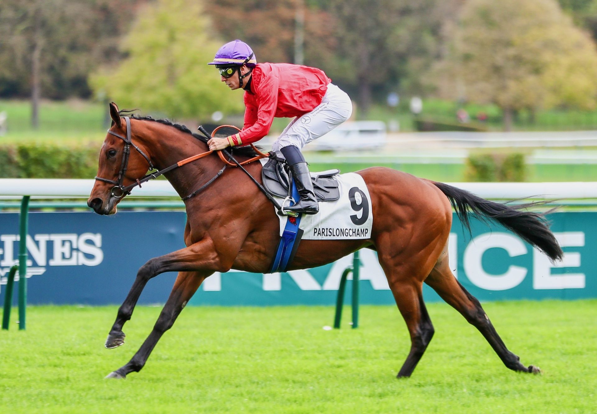 Safia (Sottsass)  Impresses On Debut At Longchamp