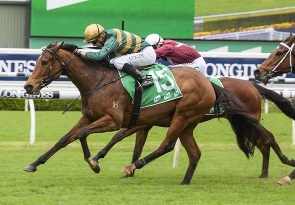 Biscara (Rubick) winning at Randwick