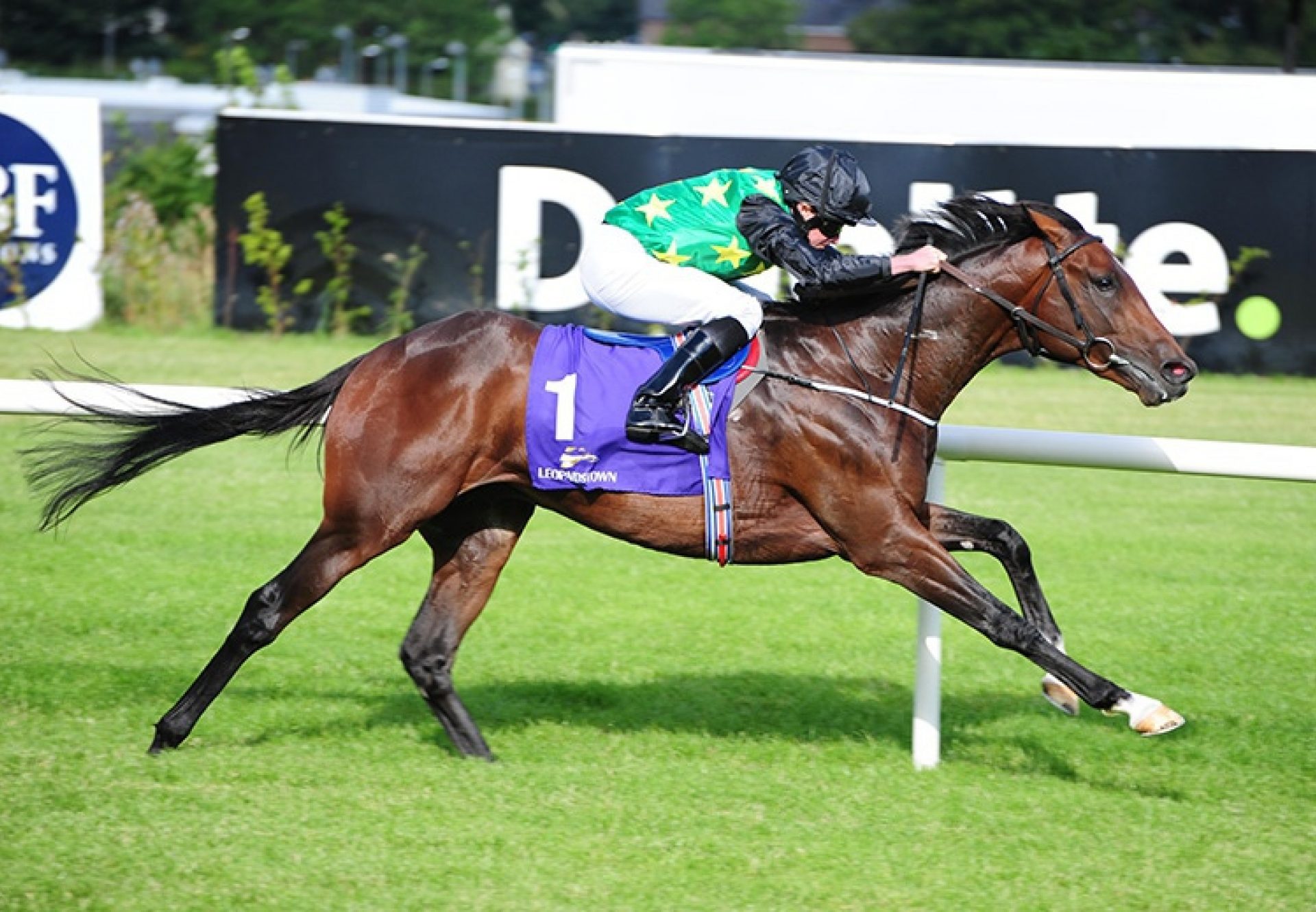 Douglas Macarthur (Galileo) winning at Leopardstown