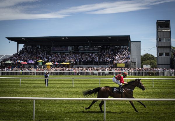 Camphor (Camelot) Wins The Ulster Oaks at Down Royal