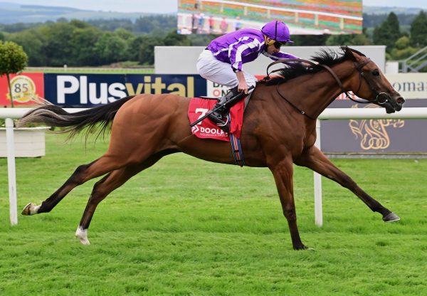 Merrily (No Nay Never) Wins Her Maiden At Naas