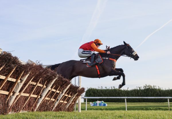 Kerryhill (Soldier Of Fortune) Wins The Grade 2 River Don Hurdle at Doncaster