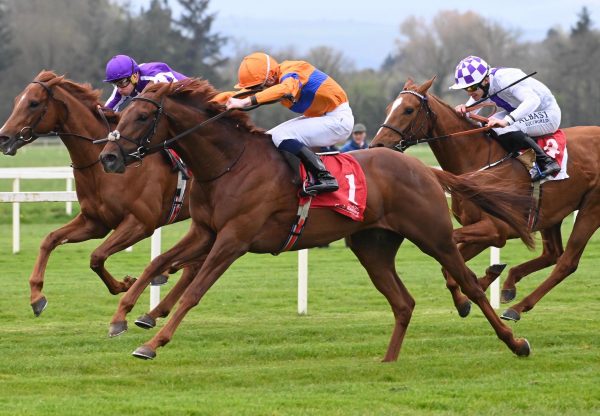 Alder (Australia) Wins At Cork