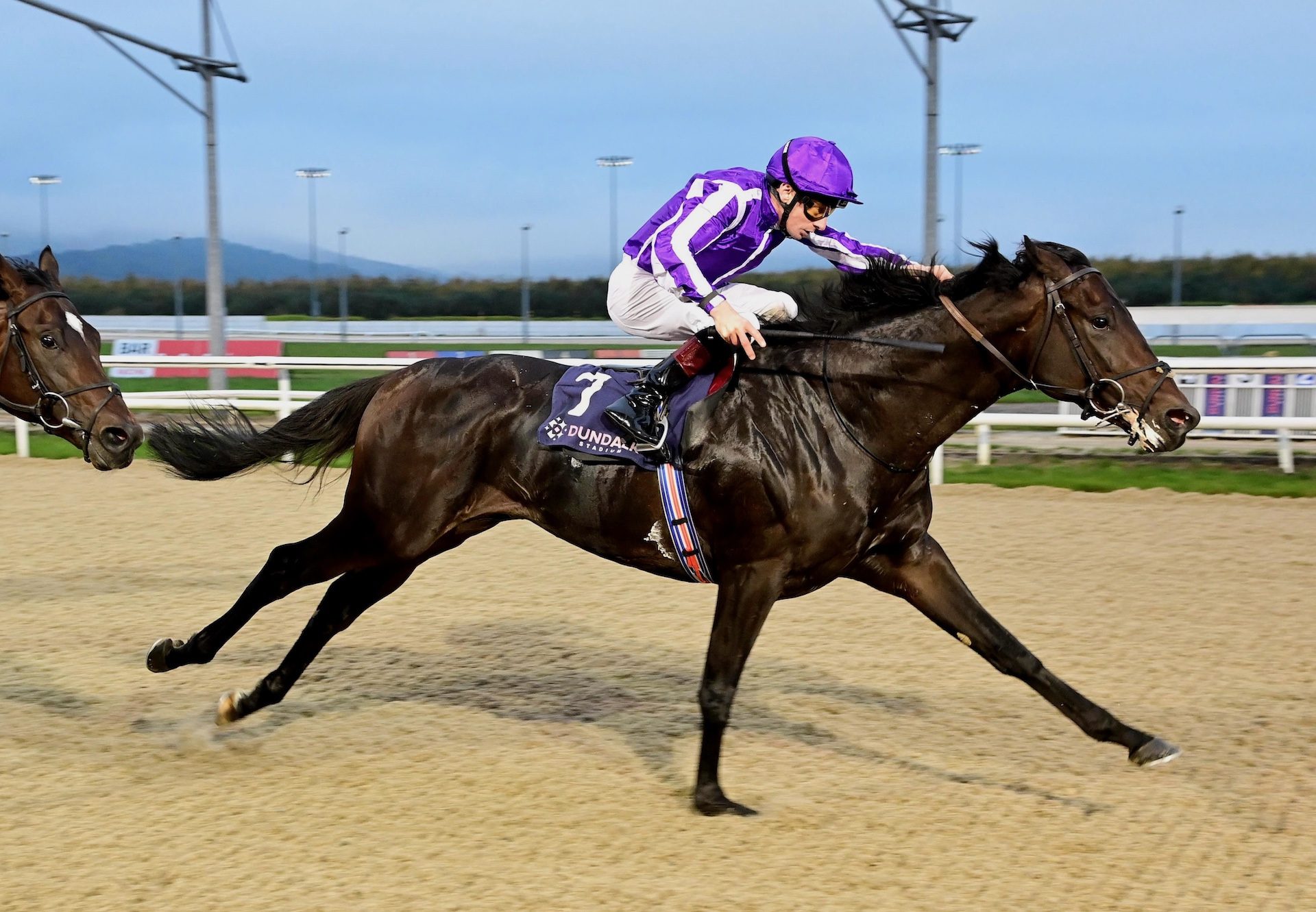 Serengeti (Wootton Bassett) Wins His Maiden At Dundalk