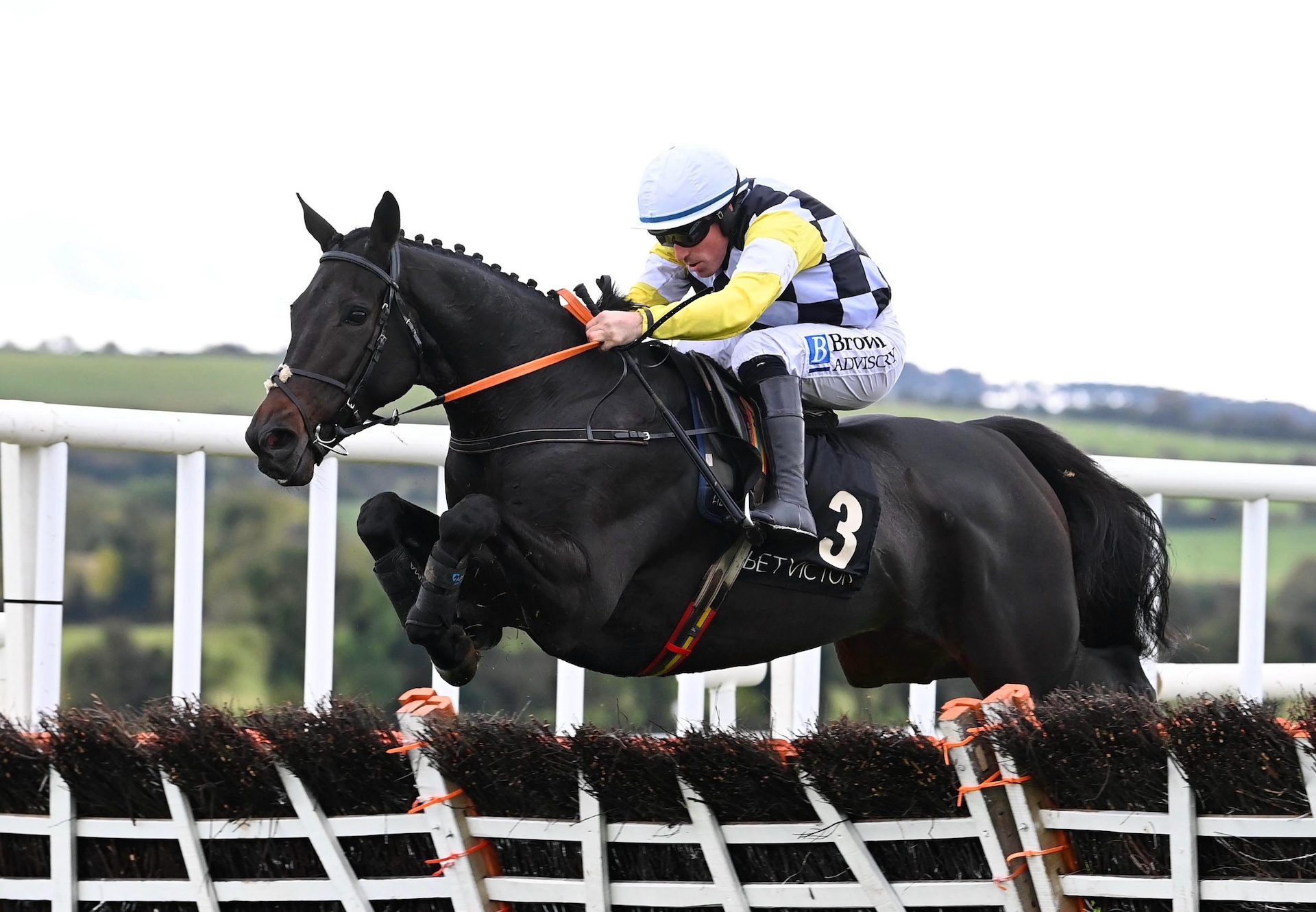 Cappucino (Westerner) Wins The Maiden Hurdle At Punchestown