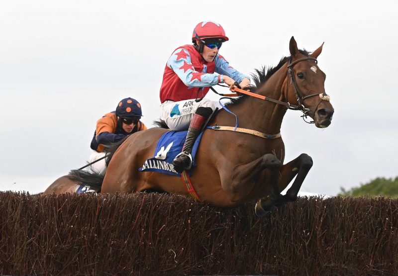 Bella Bliss (Getaway) Wins The Beginners Chase At Ballinrobe