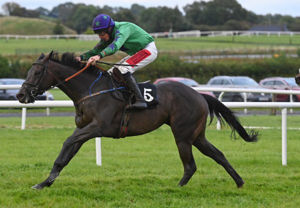 Largy Ray (Westerner) Wins The Bumper At Kilbeggan