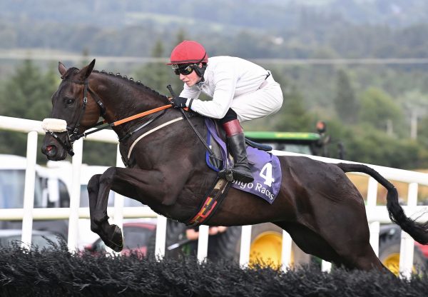 Glendars Mahler (Mahler) Wins The Mares Maiden Hurdle At Sligo