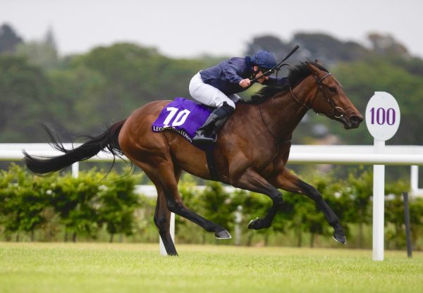 Love Locket (No Nay Never) Wins The Group 3 Leopardstown Fillies Trial Stakes