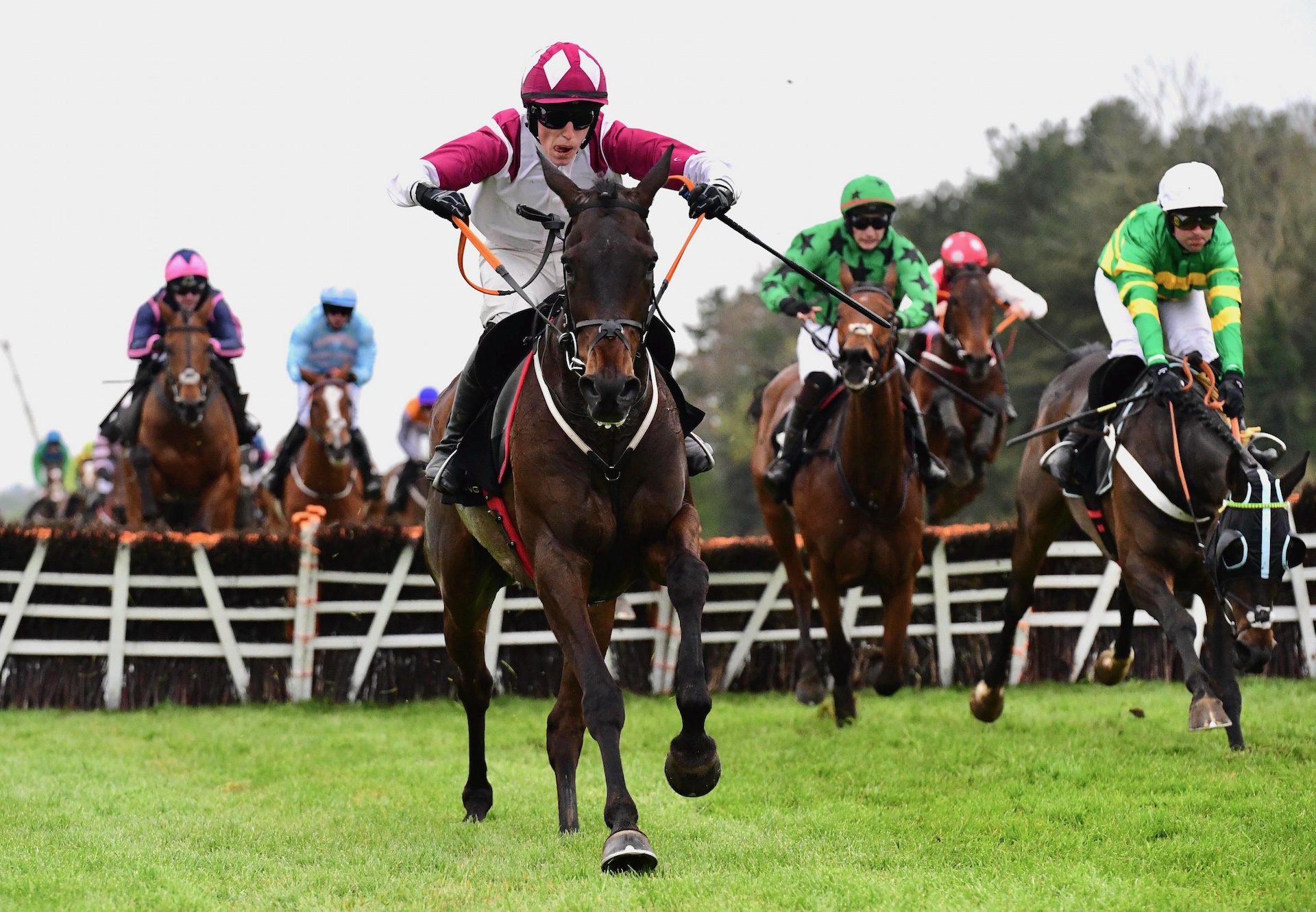 Maxxum (Westerner) Wins A Listed Hurdle At Punchestown