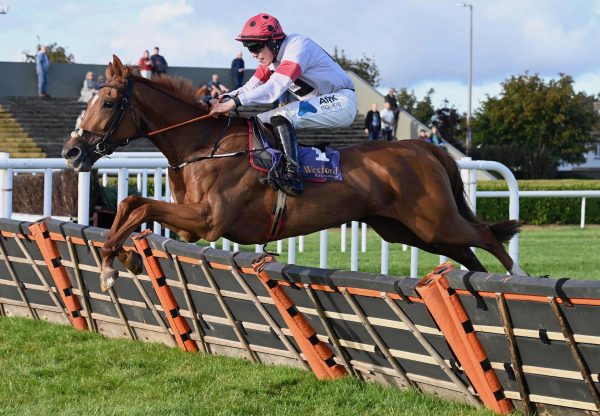 Stadium Talk (Soldier Of Fortune) Wins The Mares Maiden Hurdle At Wexford