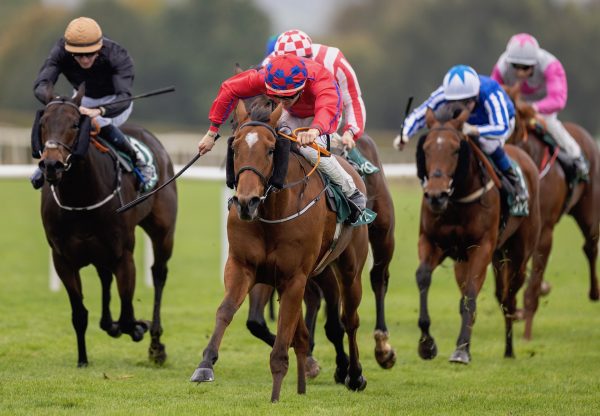 Greek Flower (Australia) Wins Her Maiden At Navan