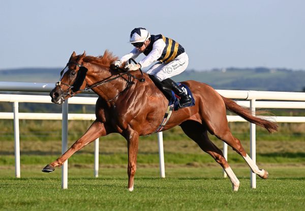 Deakin (Australia) Wins His Maiden At Roscommon