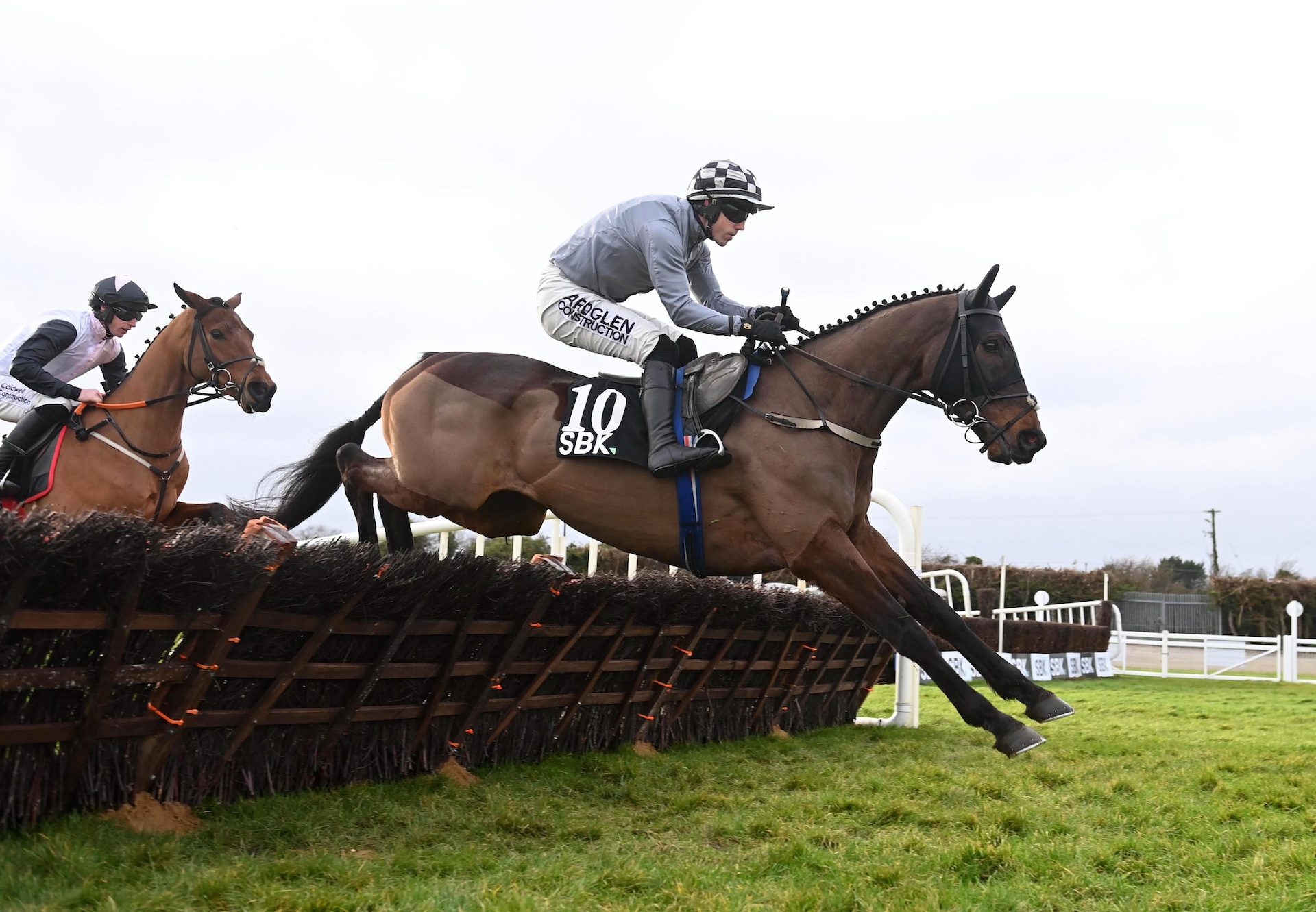 Western Diego (Westerner) Wins The Maiden Hurdle At Fairyhouse