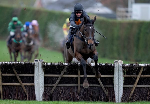 Lightening Mahler (Mahler) Wins The Mares Maiden Hurdle At Hereford