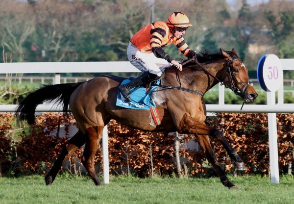 Jetara (Walk In The Park) Wins The Grade 3 Mares Hurdle At Leopardstown