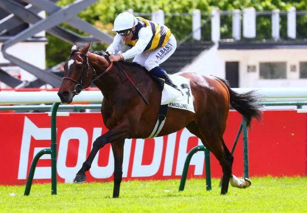 Sevenna’s Knight (Camelot) Wins The Group 3 Prix De Barbeville