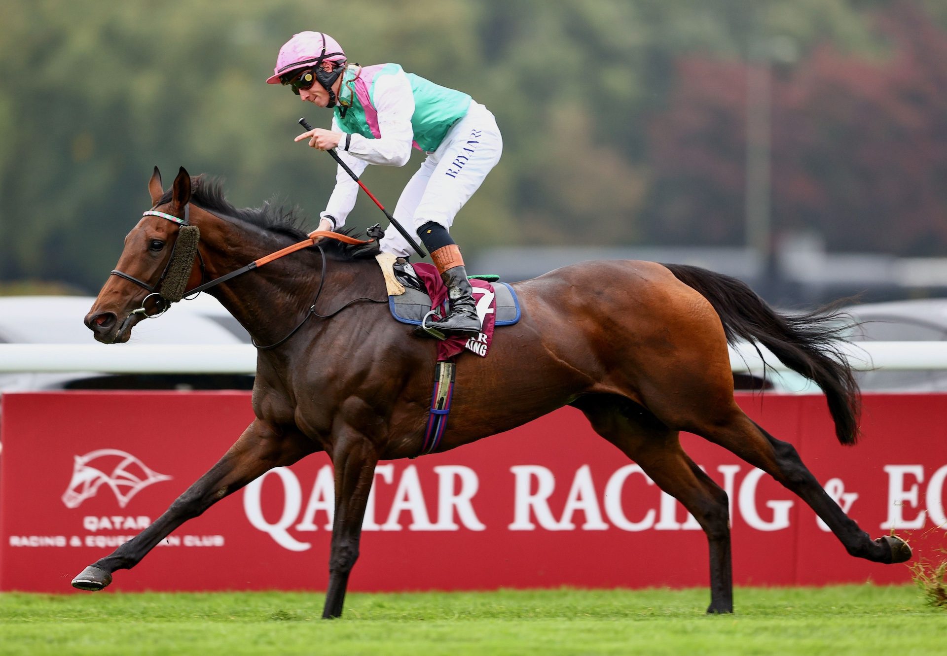 Bluestocking (Camelot) Wins The Prix De L Arc De Triomphe