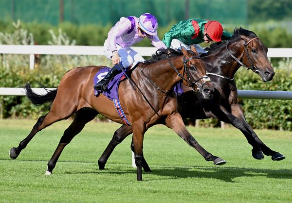 Leaders Listen (Camelot) Wins His Maiden At Leopardstown