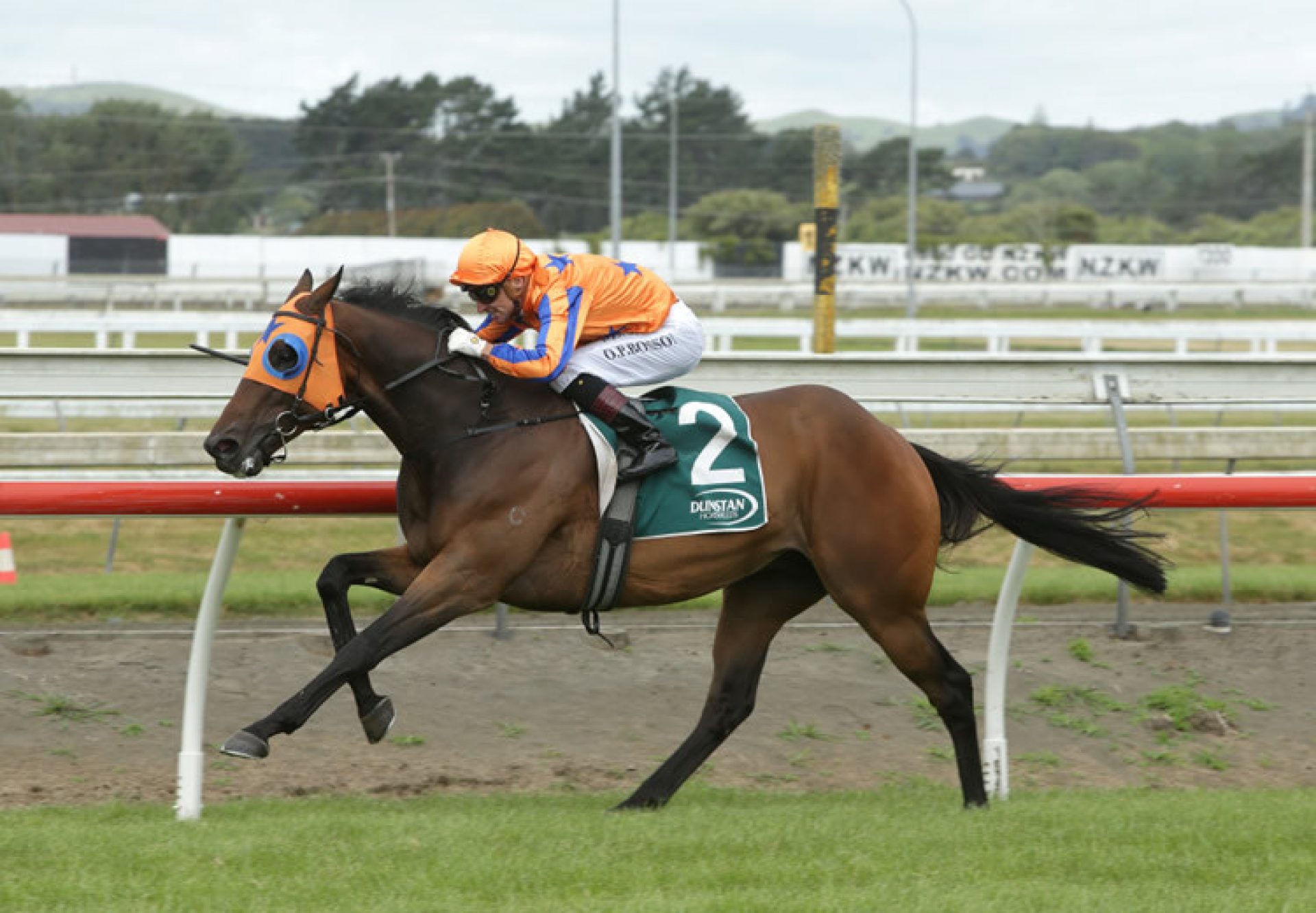 In A Twinkling (Fastnet Rock) wins the Gr.3 Counties Cup