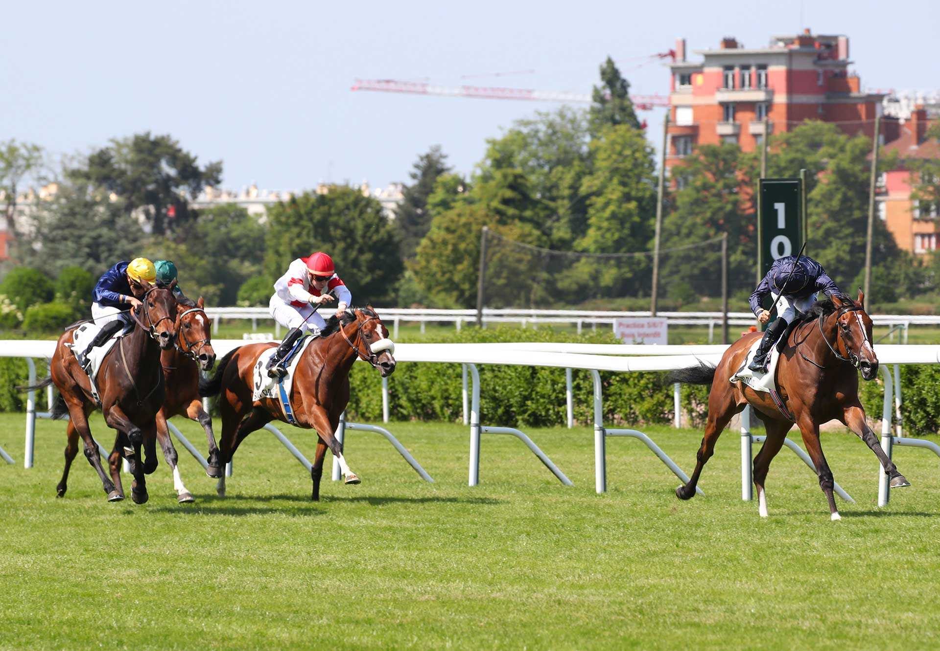 Above The Curve (American Pharoah) Wins Gr.2 Prix Corrida at Saint-Cloud