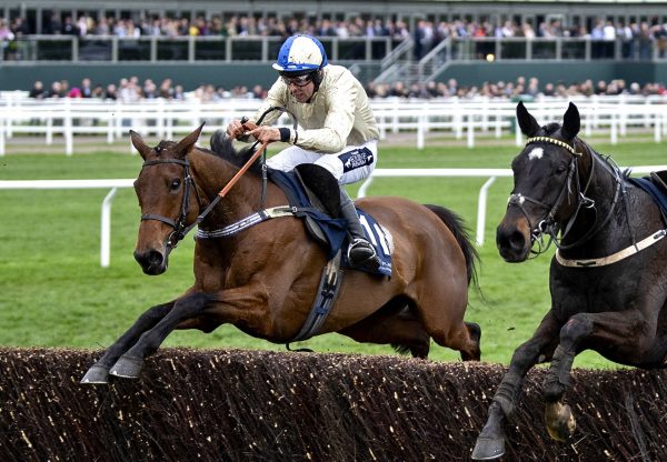 Hazel Hill Provides Milan With Cheltenham Festival Success In The Foxhunters Chase