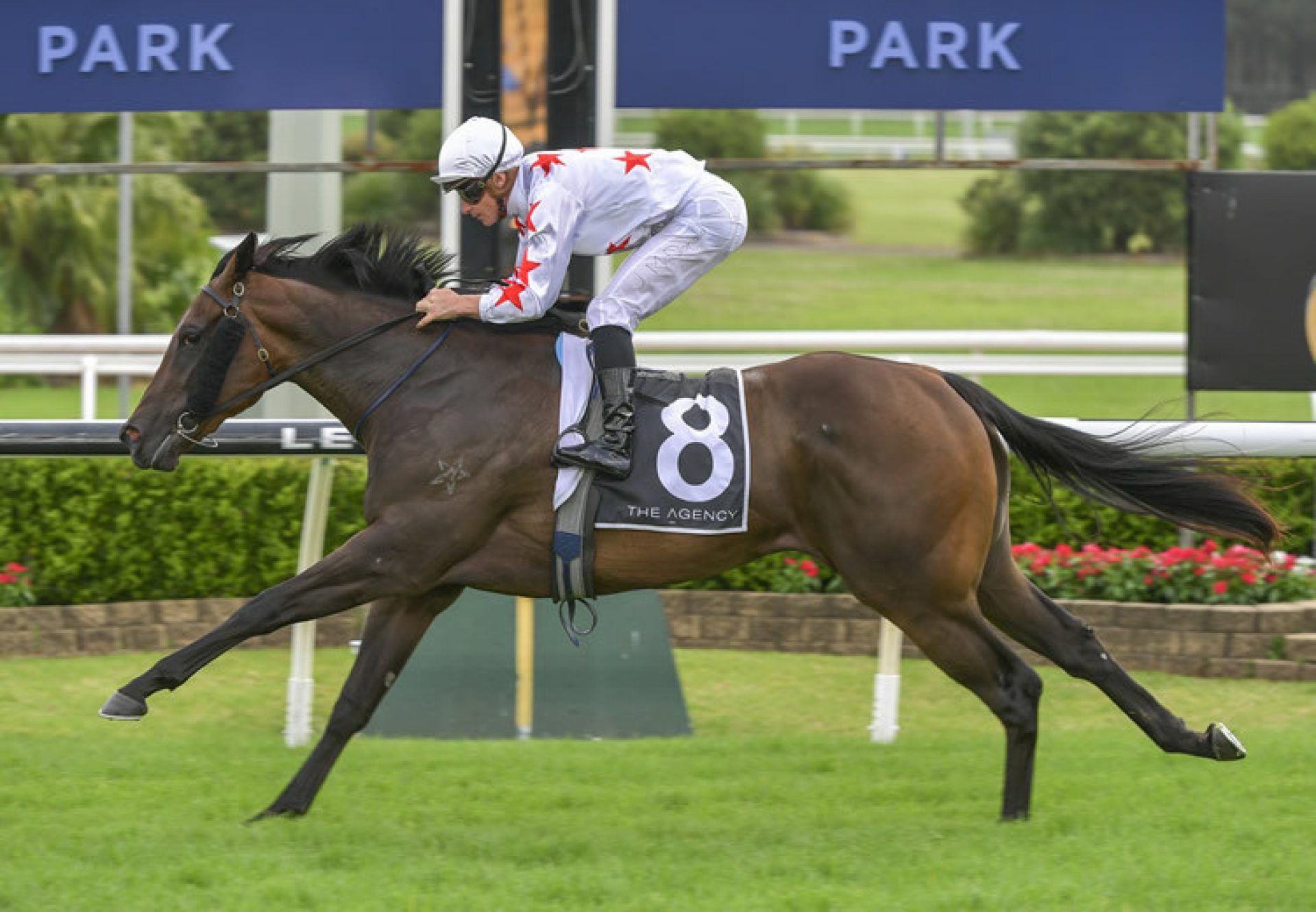 Paris Dior (Pierro) winning at Canterbury