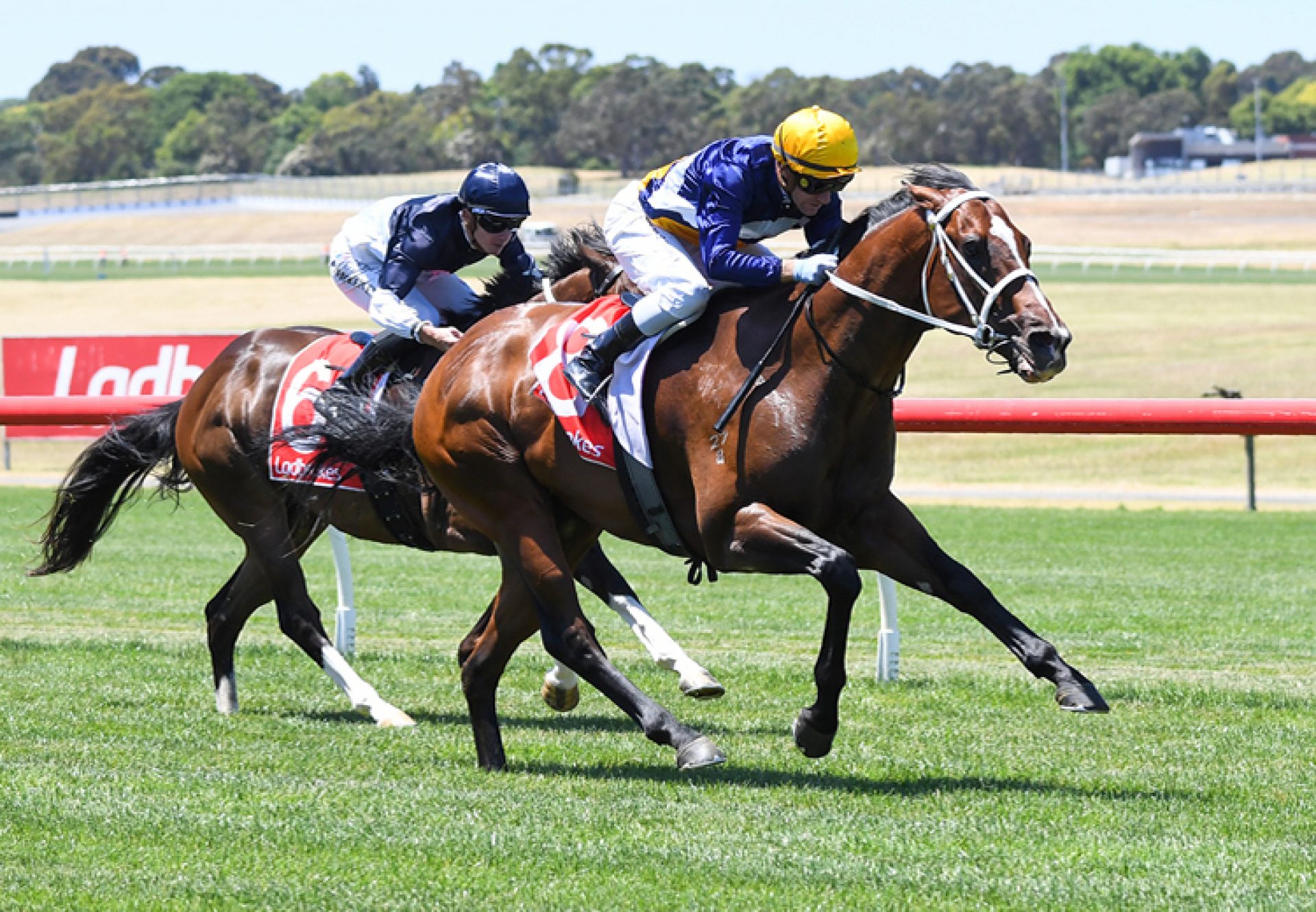 Pascero (Pierro) winning at Sandown