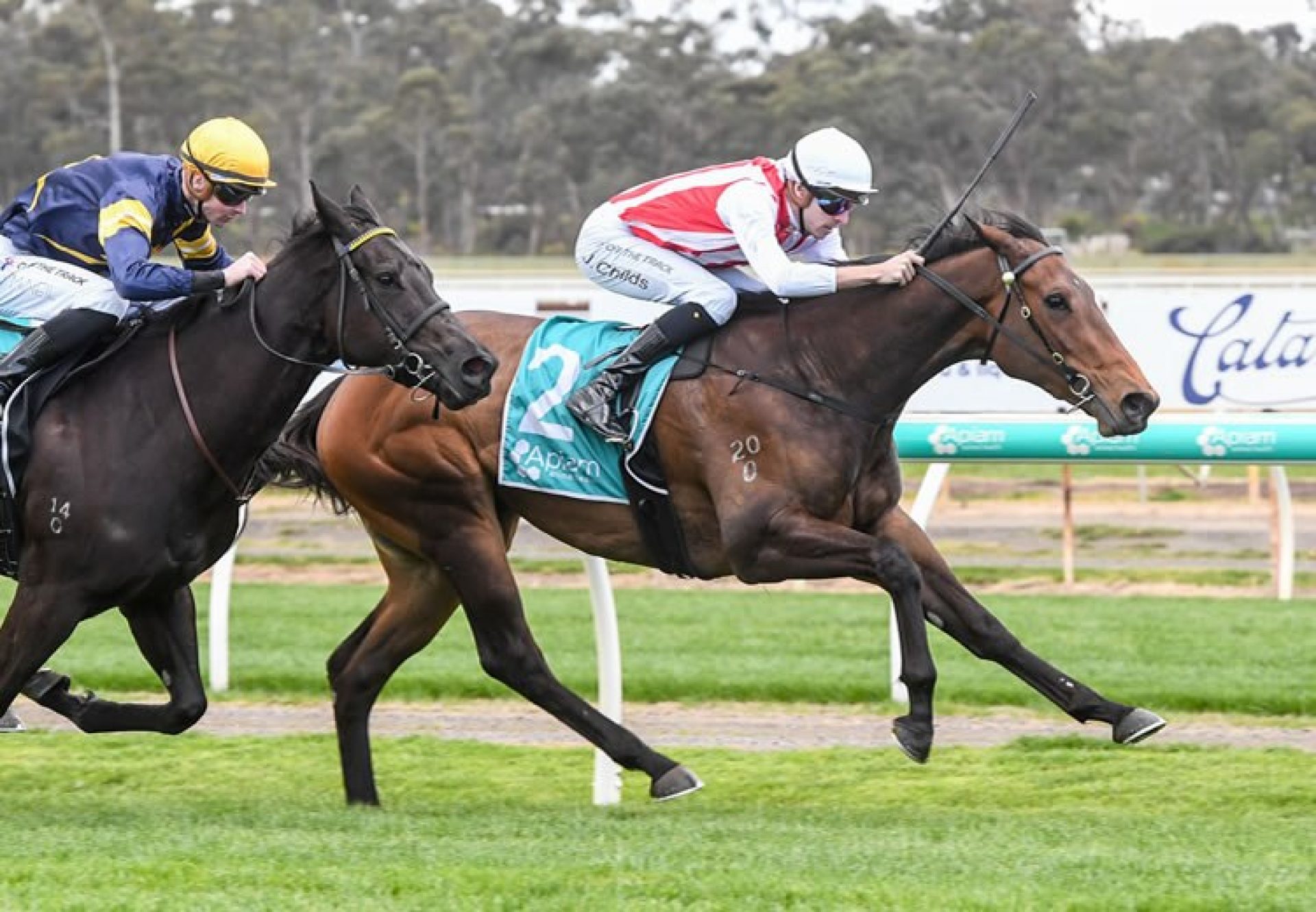 Global Pivot (Pierro) winning at Bendigo