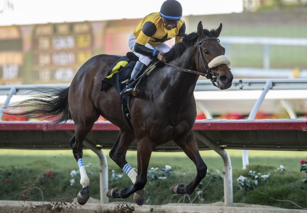 Carressa (Uncle Mo) winning at Del Mar