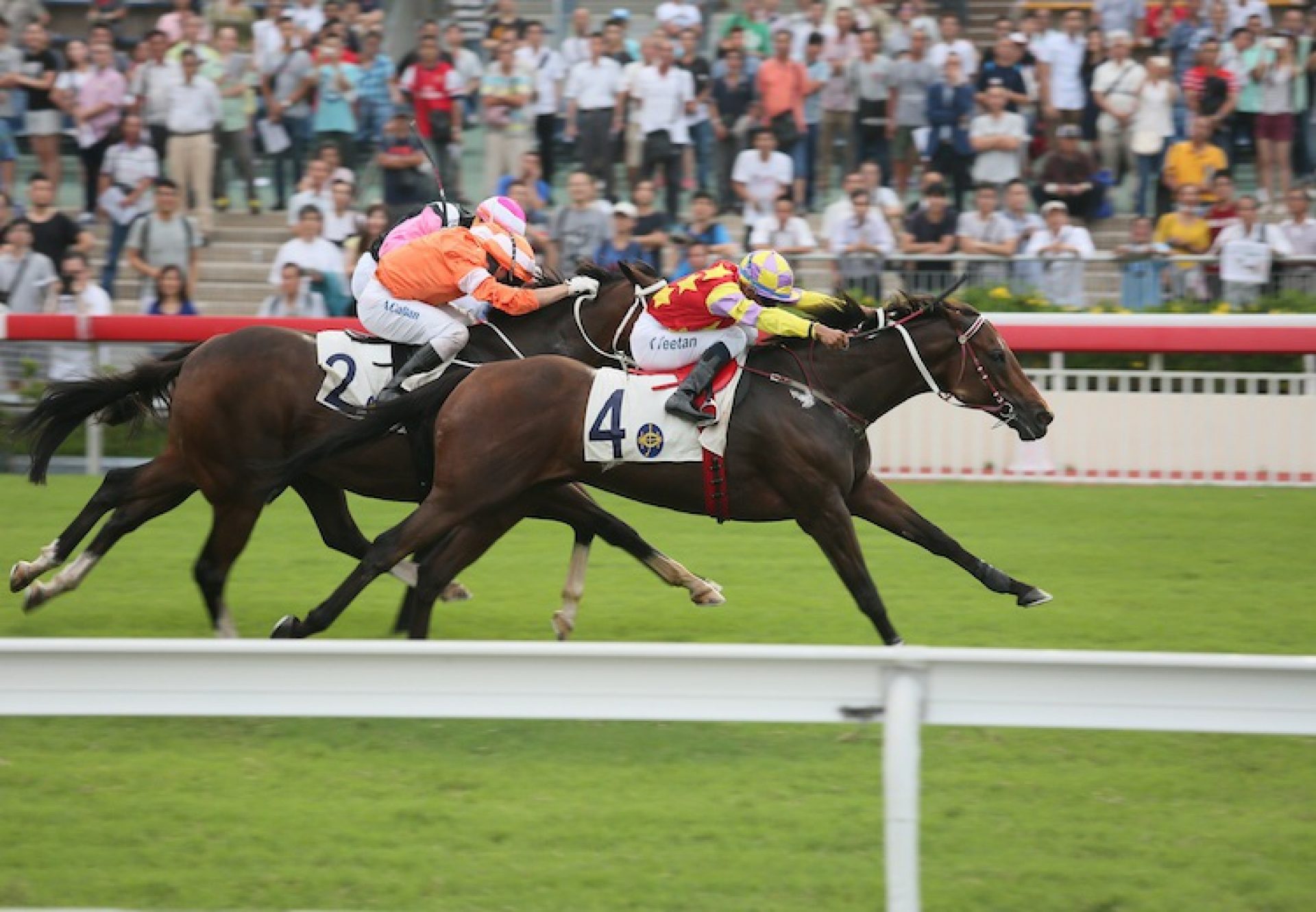 Designs On Rome (Holy Roman Emperor) winning the G2 Sha Tin Trophy at Sha Tin