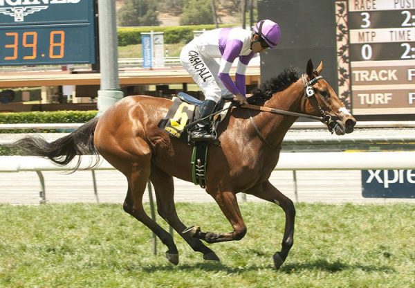 Gomo (Uncle Mo) winning at Santa Anita