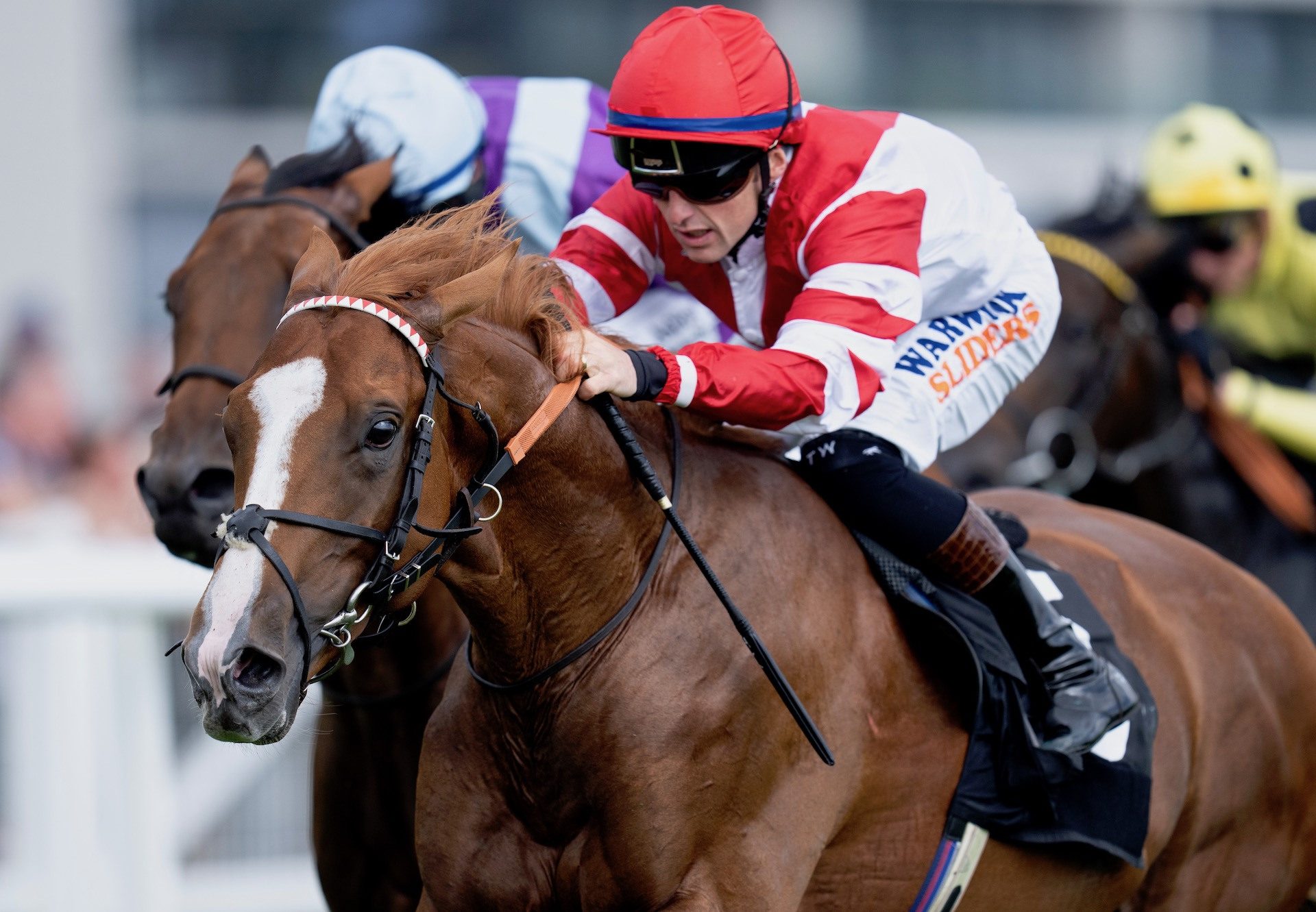 King’s Gambit (Saxon Warrior) Wins His Maiden At Newbury