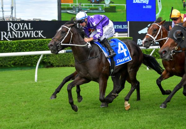 Kalino (Pierro) winning at Randwick