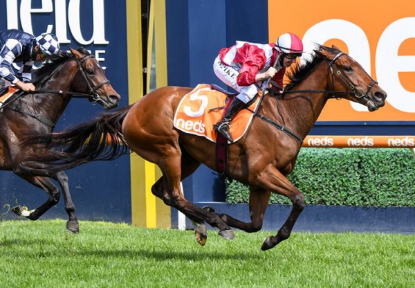 Arcadia Queen (Pierro) wins the Gr.1 Caulfield Stakes at Caulfield