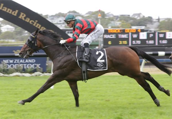 Dragon Leap (Pierro) winning the Gr.2 Avondale Guineas at Ellerslie