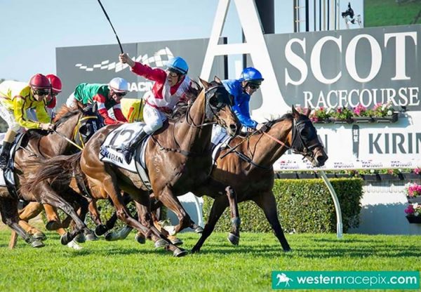 Regal Power (Pierro) winning the Gr.1 Railway Stakes at Ascot