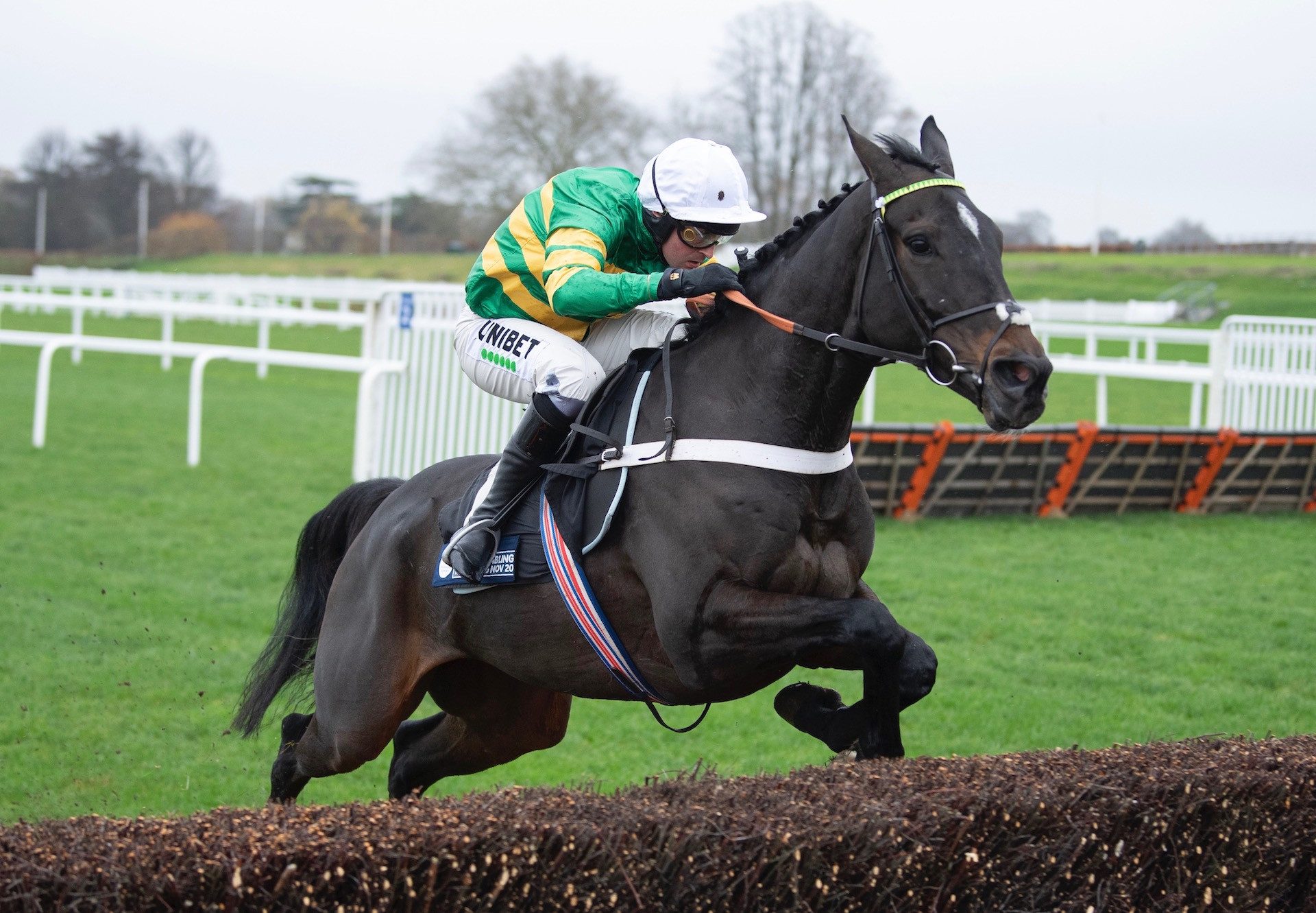 Chantry House (Yeats) Wins The Novice Chase At Ascot