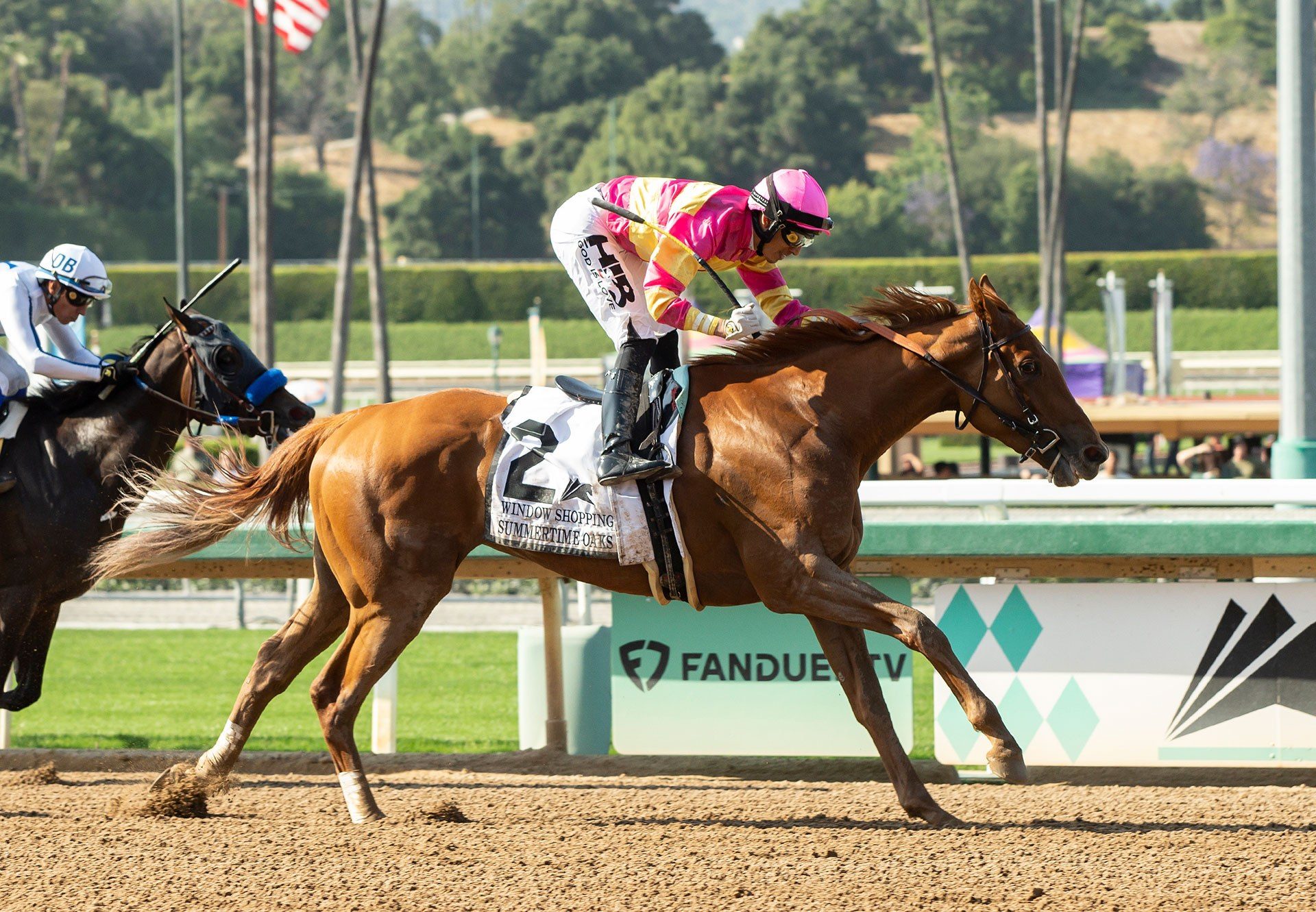 Window Shopping (American Pharoah) Wins Gr.2 Summertime Oaks at Santa Anita